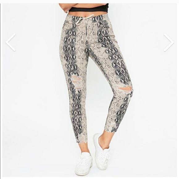 YMI Pants - NWT YMI Snakeskin High Rise Jogger Pants 1X